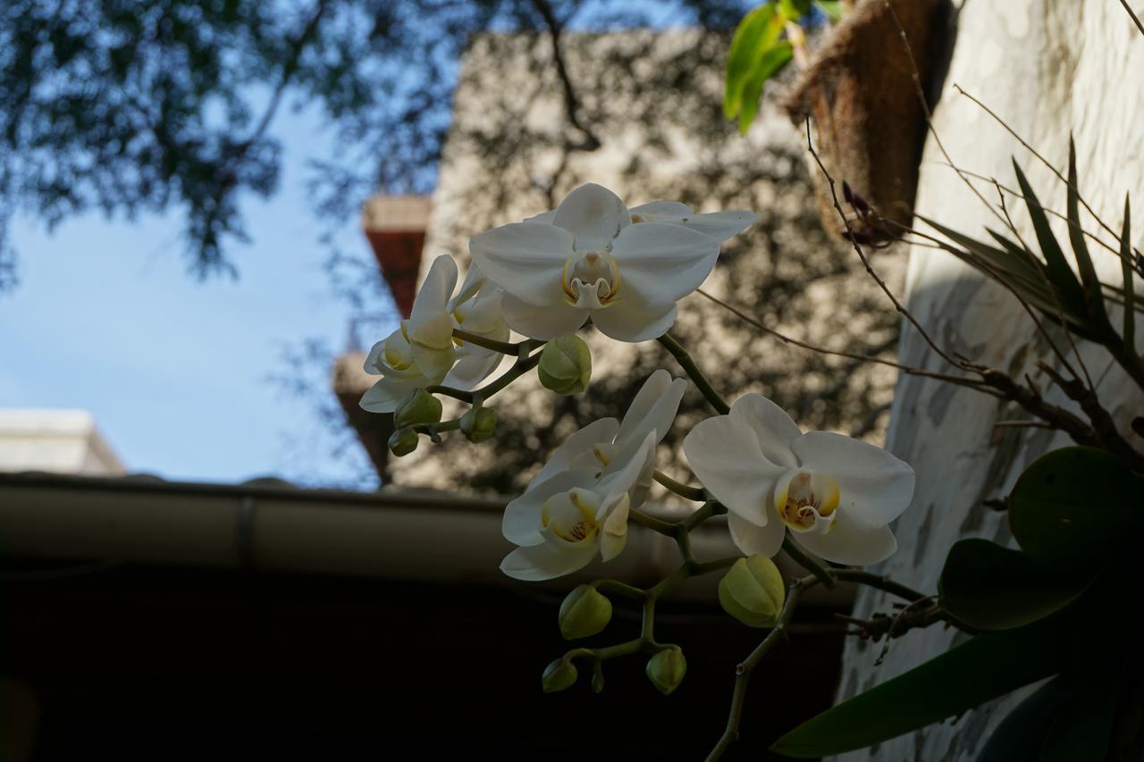 Pouso Da Garca Bed and Breakfast Cabo Frio Esterno foto